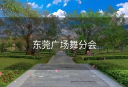 东莞广场舞分会