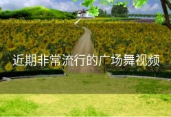 近期非常流行的广场舞视频