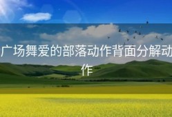 广场舞爱的部落动作背面分解动作