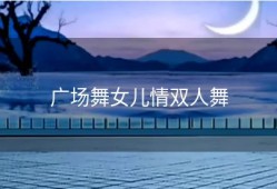 广场舞女儿情双人舞