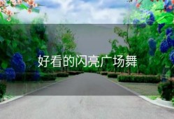 好看的闪亮广场舞