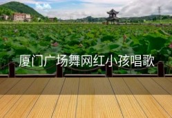 厦门广场舞网红小孩唱歌