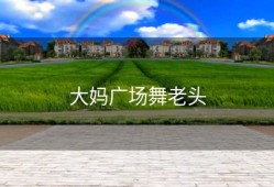 大妈广场舞老头
