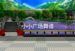 小小广场舞谁
