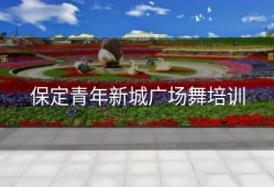 保定青年新城广场舞培训