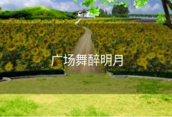 广场舞醉明月
