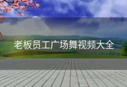 老板员工广场舞视频大全