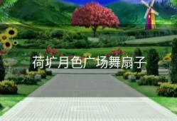 荷圹月色广场舞扇子
