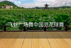 飞魅广场舞中国范花球舞