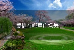 爱情在哪里广场舞