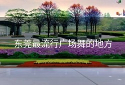 东莞最流行广场舞的地方