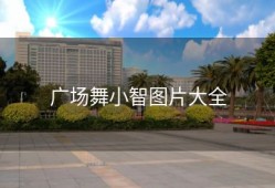 广场舞小智图片大全