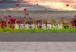 海燕曳步广场舞分解