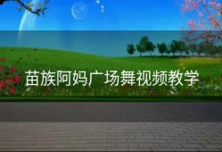 苗族阿妈广场舞视频教学