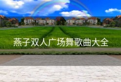 燕子双人广场舞歌曲大全