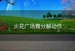 火花广场舞分解动作