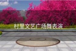 村里文艺广场舞表演