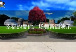 幸福的爱你广场舞背面演示