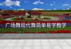 广场舞现代舞简单易学教学