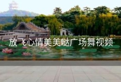 放飞心情美美哒广场舞视频