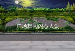 广场舞闪闪惹人爱