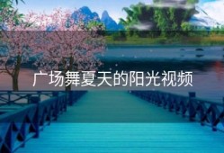 广场舞夏天的阳光视频