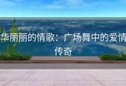 华丽丽的情歌：广场舞中的爱情传奇