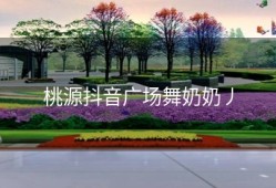 桃源抖音广场舞奶奶丿