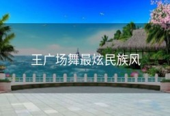 王广场舞最炫民族风