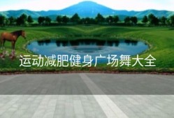 运动减肥健身广场舞大全