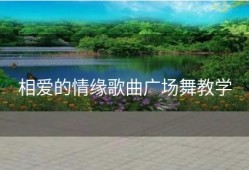 相爱的情缘歌曲广场舞教学