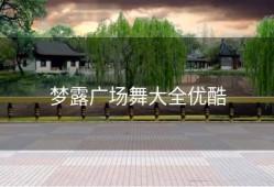 梦露广场舞大全优酷