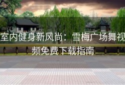 室内健身新风尚：雪梅广场舞视频免费下载指南