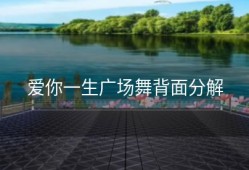 爱你一生广场舞背面分解