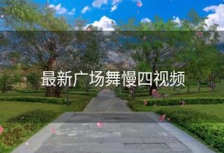 最新广场舞慢四视频