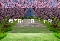 扇子舞广场舞一生有你