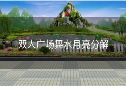 双人广场舞水月亮分解