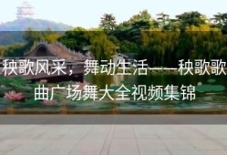 秧歌风采，舞动生活——秧歌歌曲广场舞大全视频集锦