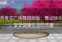 荞麦花广场舞甜甜版：舞动快乐，享受健康生活的乐趣