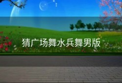 猜广场舞水兵舞男版
