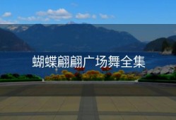 蝴蝶翩翩广场舞全集