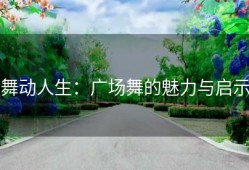舞动人生：广场舞的魅力与启示