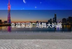 幸福家园广场舞大妈跳