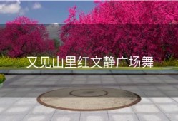 又见山里红文静广场舞