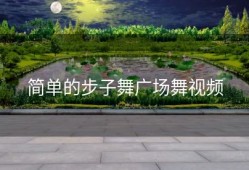 简单的步子舞广场舞视频