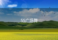 55广场舞