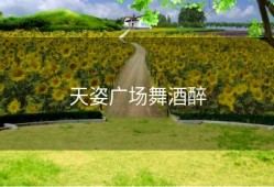 天姿广场舞酒醉