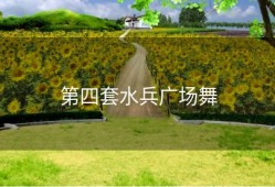 第四套水兵广场舞