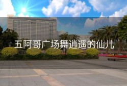 五阿哥广场舞逍遥的仙儿