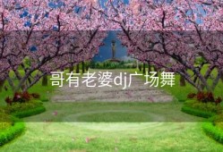 哥有老婆dj广场舞